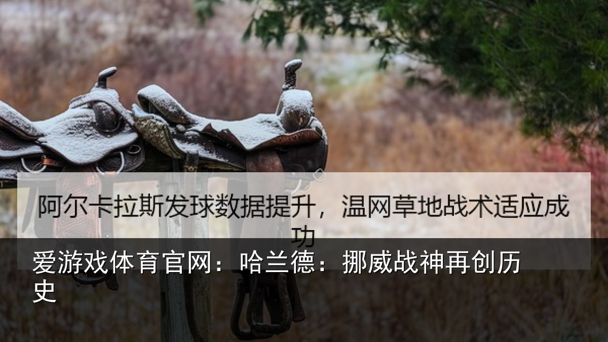 爱游戏体育官网：哈兰德：挪威战神再创历史