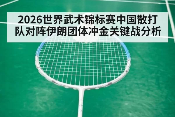 2026世界武术锦标赛中国散打队对阵伊朗团体冲金关键战分析